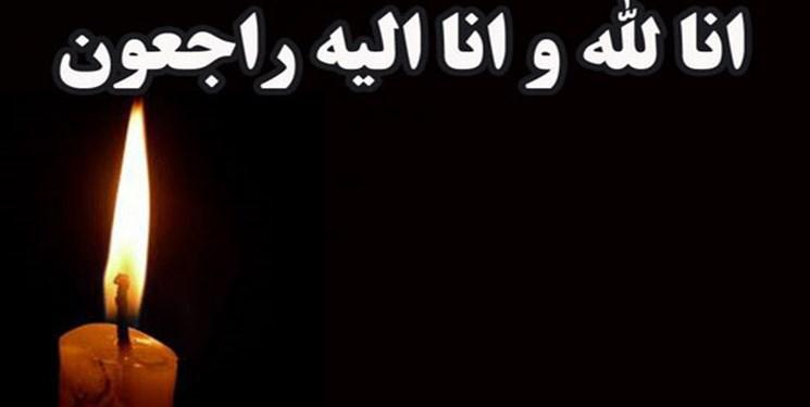 وزیر علوم درگذشت معاون سازمان انرژی اتمی ایران را تسلیت گفت