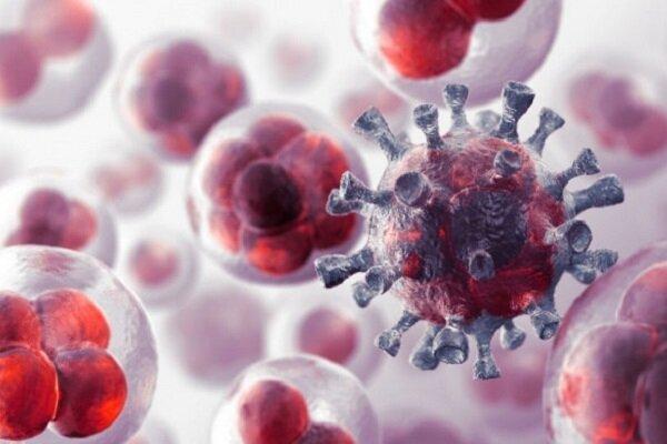 استفاده از نانولوله ها برای هدف گیری دقیق تومور سرطانی