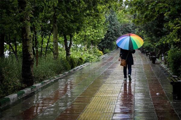 خبرنگاران لواسان با 41 میلی متر بارندگی رکورد زد خبرنگاران لواسان با 41 میلی متر بارندگی رکورد زد