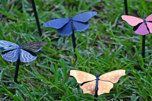 ساختن سبک ترین رنگ دنیا با الهام از بال های پروانه