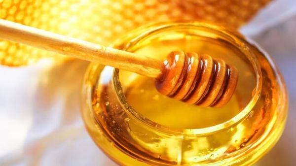 عسل می تواند جایگزین آنتی بیوتیک ها باشد