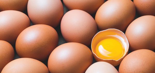 وجود لکه های قرمز و قهوه ای در تخم مرغ نشانه چیست؟، عکس