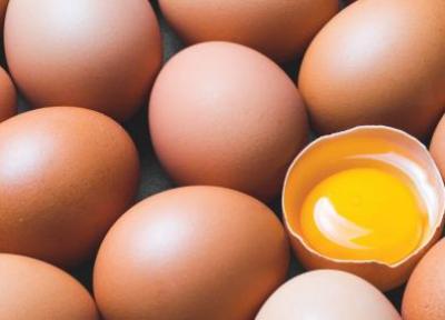 وجود لکه های قرمز و قهوه ای در تخم مرغ نشانه چیست؟، عکس